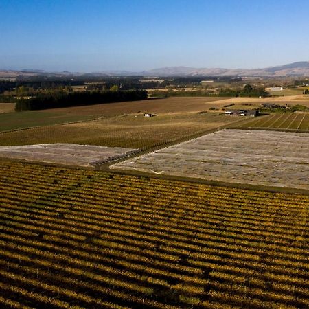 Romantic Vineyard Getaway Waipara Eksteriør billede