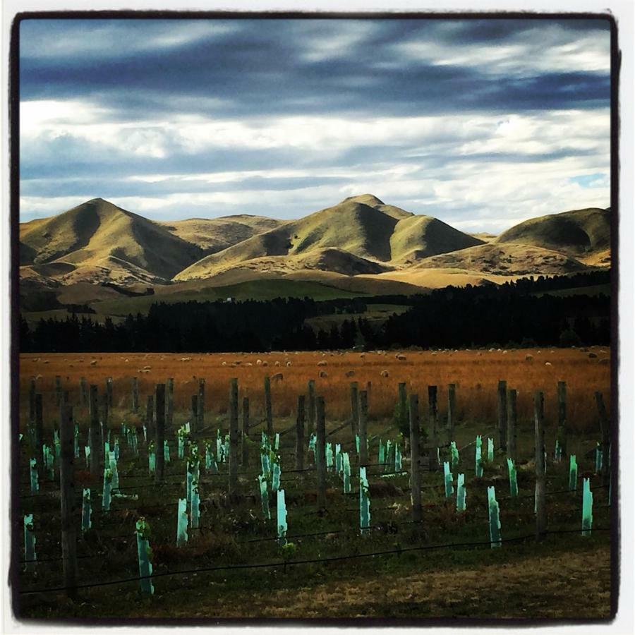 Romantic Vineyard Getaway Waipara Eksteriør billede