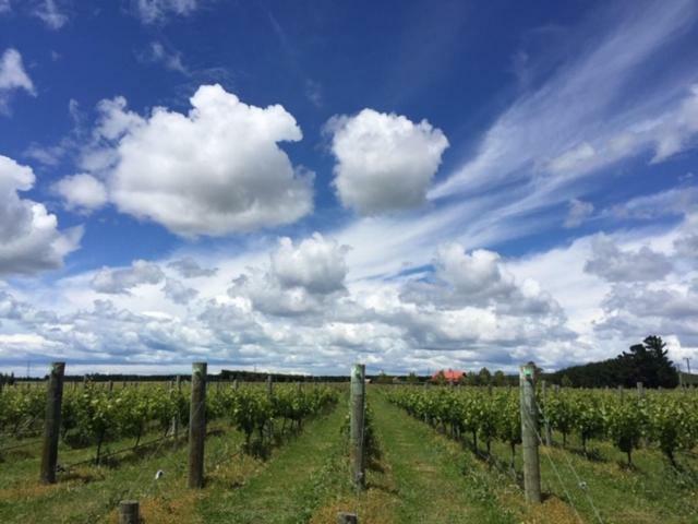 Romantic Vineyard Getaway Waipara Eksteriør billede