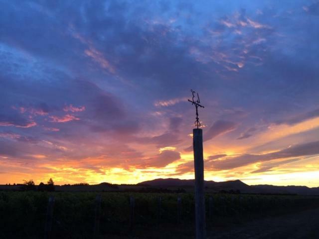 Romantic Vineyard Getaway Waipara Eksteriør billede